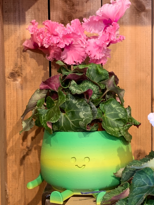 Flower Box Pot
