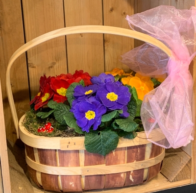 Mother’s Day larger spring planter