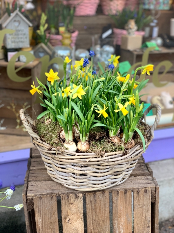 Spring Planter