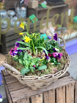 Spring Planter