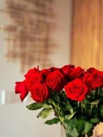 12 Rose Handtied