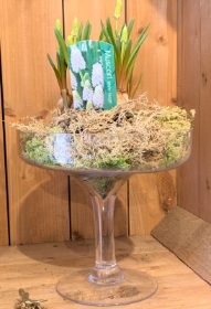 Sweet glass vase planter