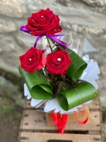 Simply with love